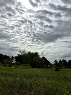 草原上空的层叠云朵