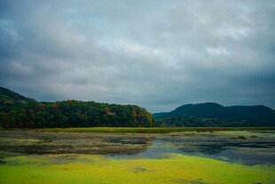 湖畔绿野 云雾缭绕之景