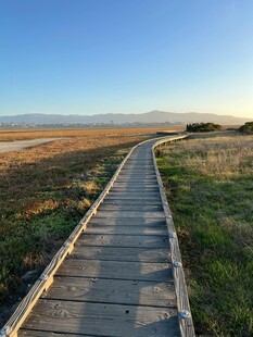 漫步木栈道 赏自然美景