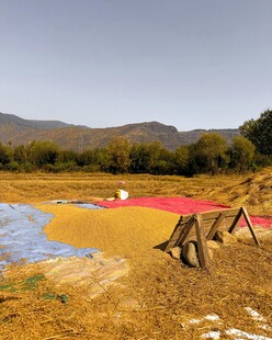 田野中的多彩铺设场景