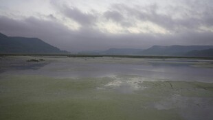 阴天湖畔风景