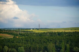 广袤绿野上的蓝天白云