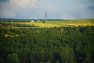 广袤森林与田野风光