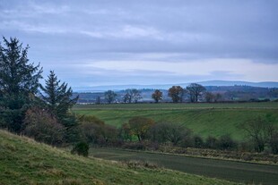 乡村田野风景图