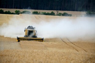 麦田中作业的联合 割机