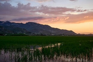 夕阳下的河畔湿地美景