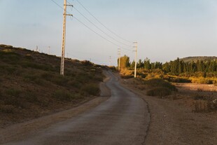 乡村蜿蜒土路风光