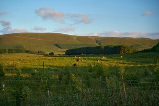 草原风光 远处山峦与行人