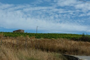 田野风光中的小屋