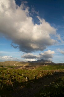 草原风光蓝天白云美景