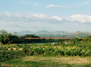 田园风光中的葱郁田野