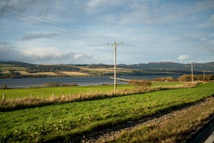 田园风光中的宁静田野