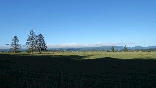 广阔田野上的清新风光