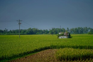 田野中的农机作业场景