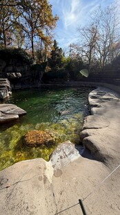 山间清澈溪流与岩石景观