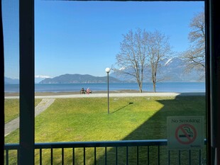 窗外湖景与开阔草坪风光