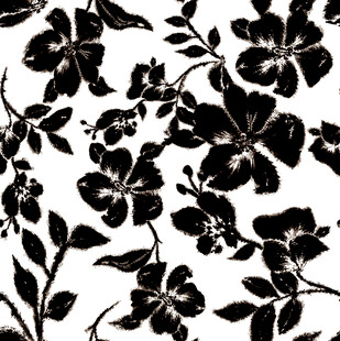 黑白花卉