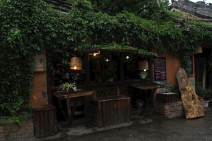 古雅绿植环绕的温馨小店