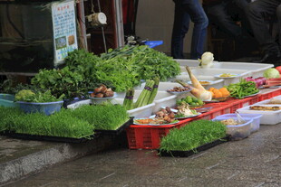 街头绿植蔬果售卖摊