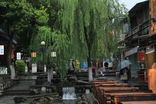 古巷垂柳下的静谧水乡