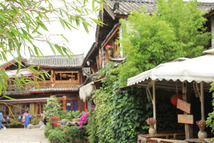 古雅乡村民宿庭院景致