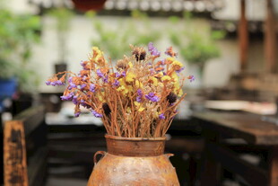 陶罐中的干花装饰