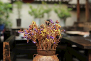 陶罐中的干花摆件