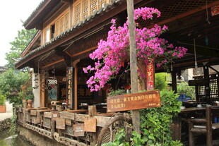 古雅水乡木屋旁繁花绽放