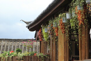 古雅屋檐下的缤纷绿植