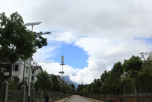 乡村小路旁的绿树与天空