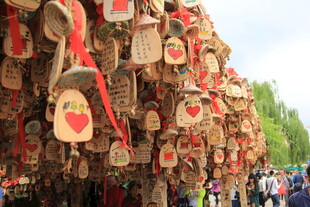 树上挂满爱心祈福牌