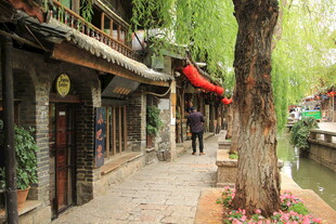 古巷垂柳伴水边古朴建筑