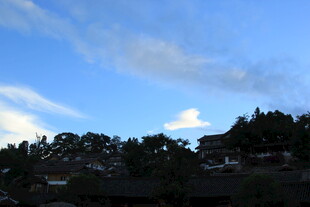 蓝天绿树间的宁静景致