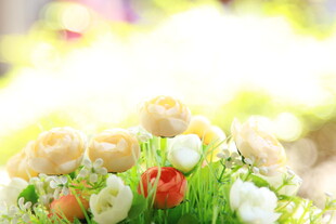 春日缤纷花卉特写