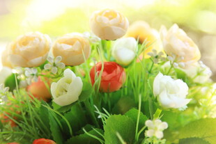 多彩花卉绽放绿意间