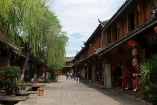 古街垂柳下的中式建筑