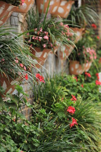 庭院中繁茂的绿植与花卉