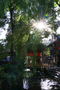 阳光洒落林间小河美景