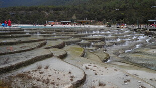 梯田景观 山水间的田园风光