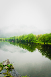 宁静河畔绿意盎然的景致