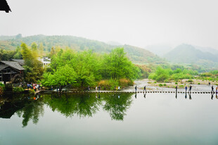 江南水乡湖畔静谧美景