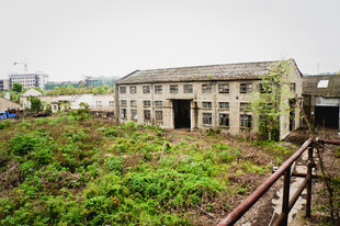 荒废厂房被绿植环绕