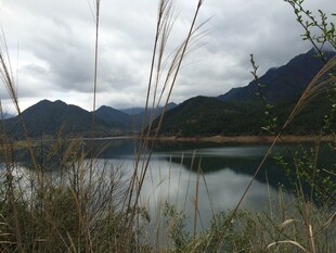 婺源宁静山水间的自然景致