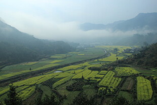 婺源山间田园美景