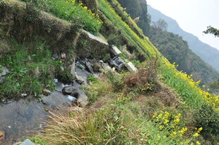 婺源山间溪流旁的多彩田园风光