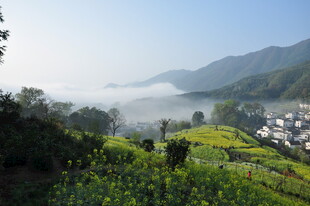婺源山间云雾下的田园美景