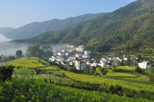 婺源山间村落 田园风光如画