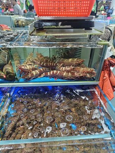 海鲜展示柜中的多样海鲜