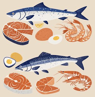 手绘海鲜鱼虾食材