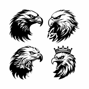 鹰头像图案